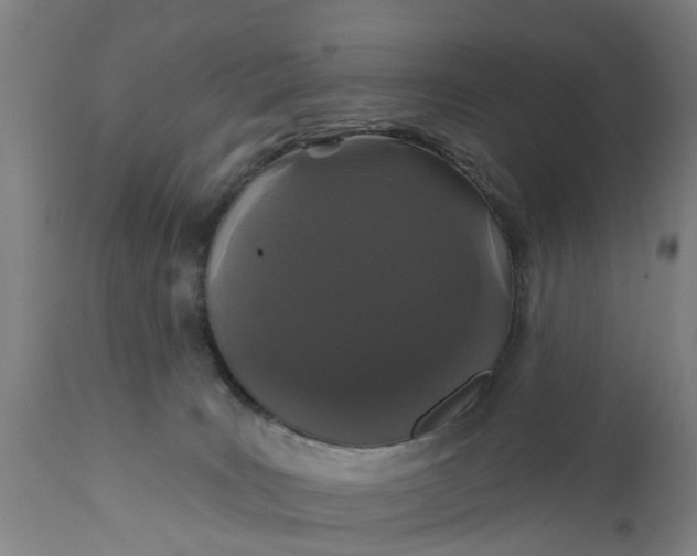 X0000111590035200908061401