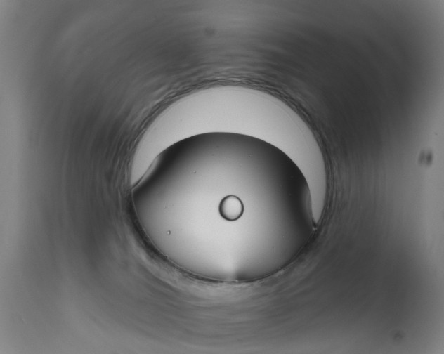 X0000111590036200908061401