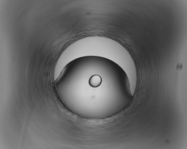 X0000111590037200908061401