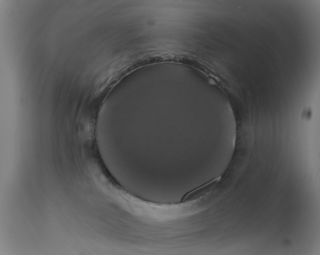 X0000111590039200908061401