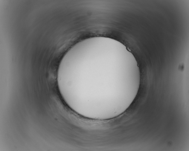 X0000111590040200908061401