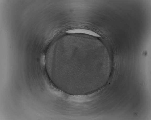 X0000111590041200908061401