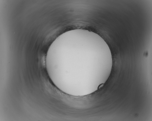 X0000111590042200908061401