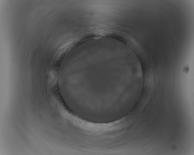 X0000111590043200908061401