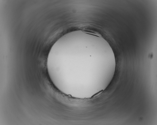 X0000111590044200908061401