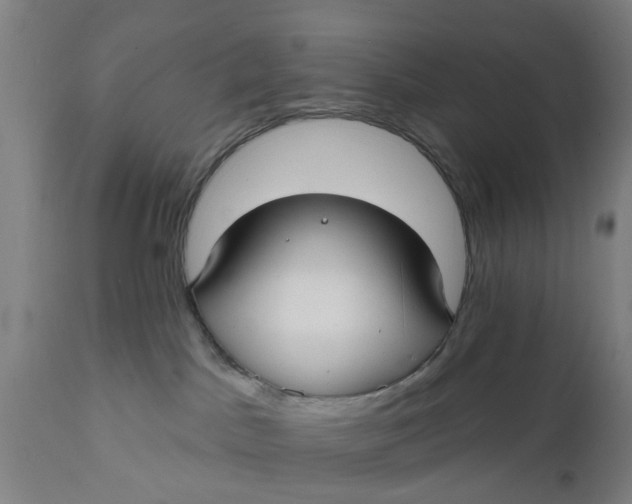 X0000111590045200908061401