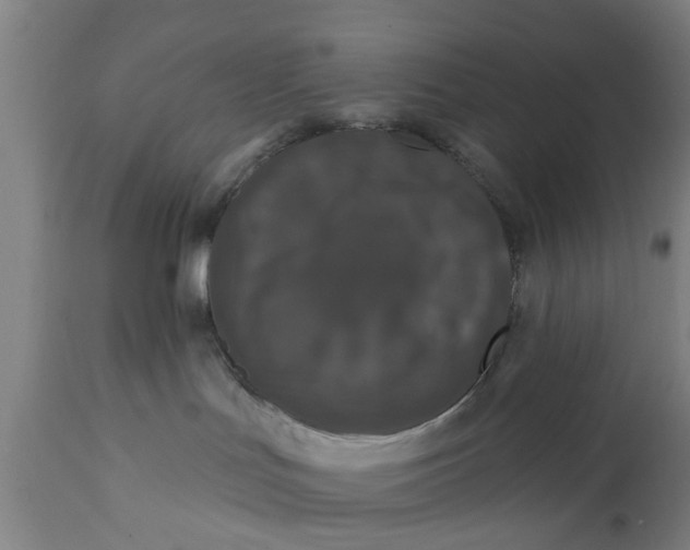 X0000111590047200908061401