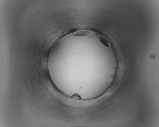 X0000111590048200908061401