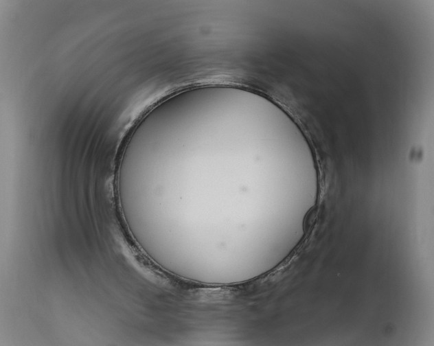 X0000111590050200908061400
