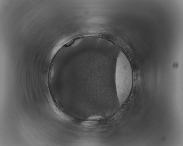 X0000111590051200908061400