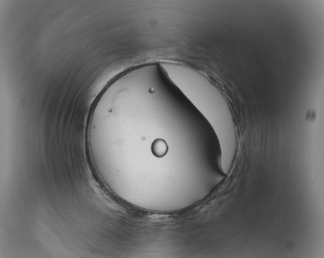 X0000111590052200908061400