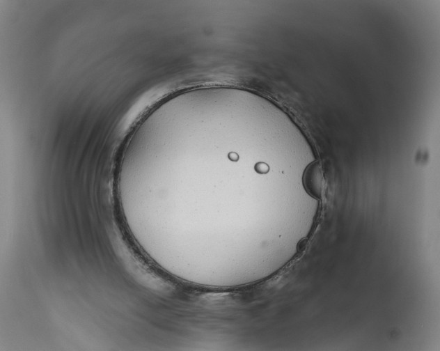 X0000111590054200908061400