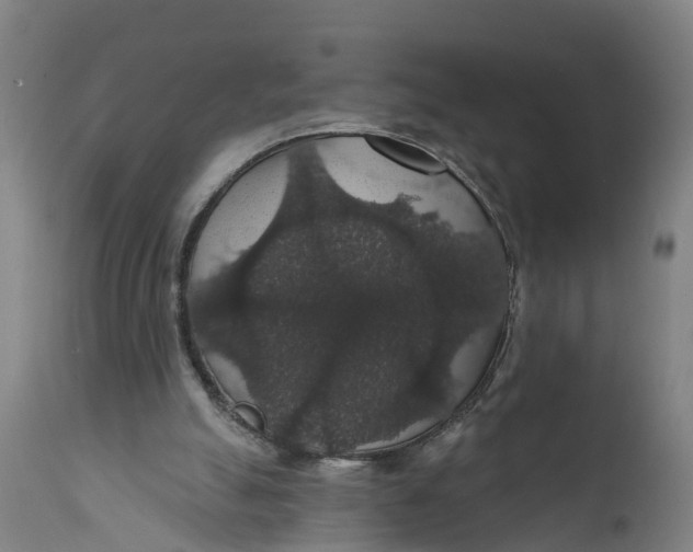 X0000111590055200908061400