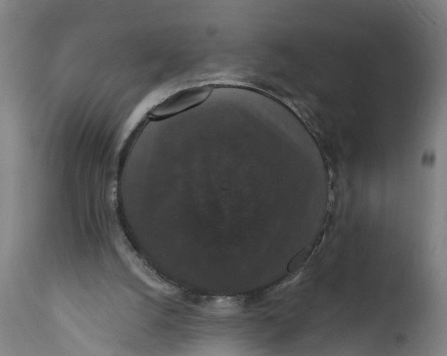 X0000111590056200908061400