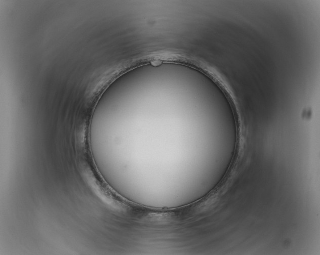 X0000111590057200908061400