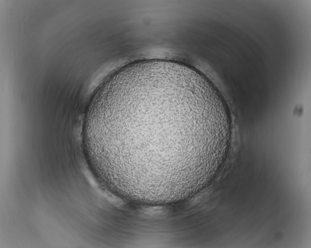 X0000111590058200908061400