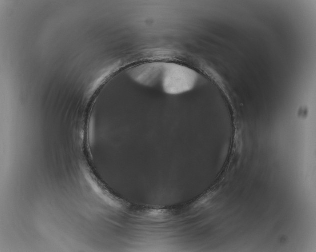 X0000111590059200908061400