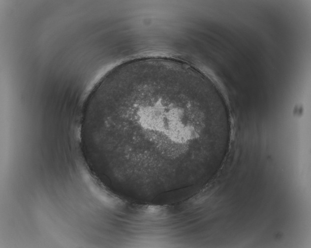 X0000111590060200908061400