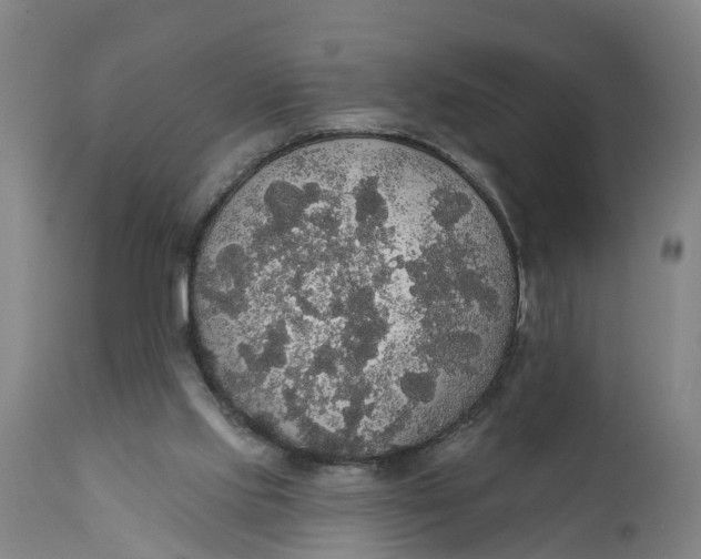 X0000111590061200908061400