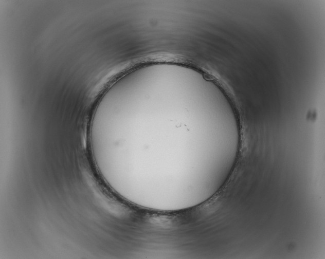 X0000111590062200908061400