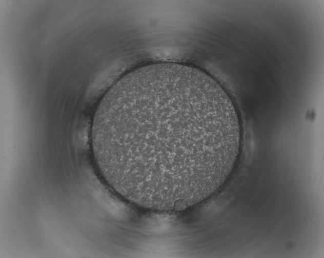 X0000111590065200908061400