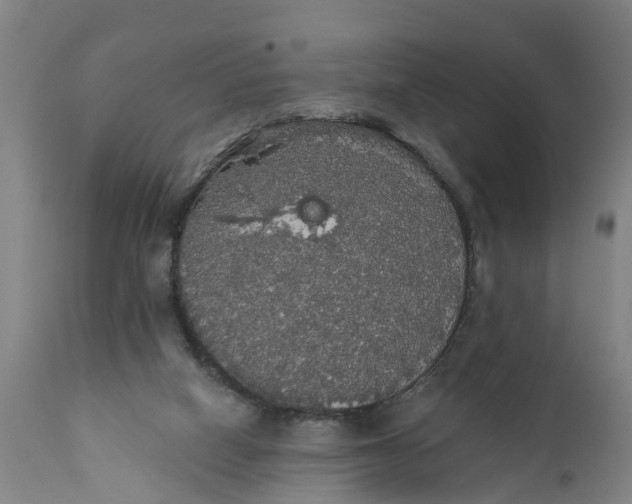 X0000111590066200908061400