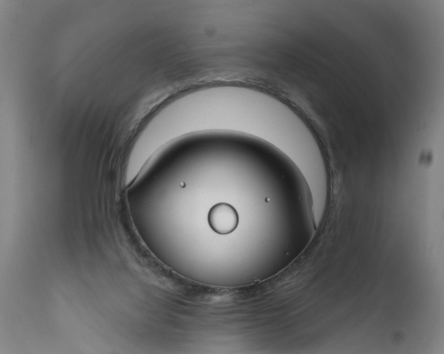 X0000111590068200908061400