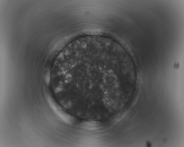 X0000111590069200908061400