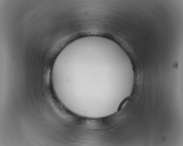 X0000111590070200908061400