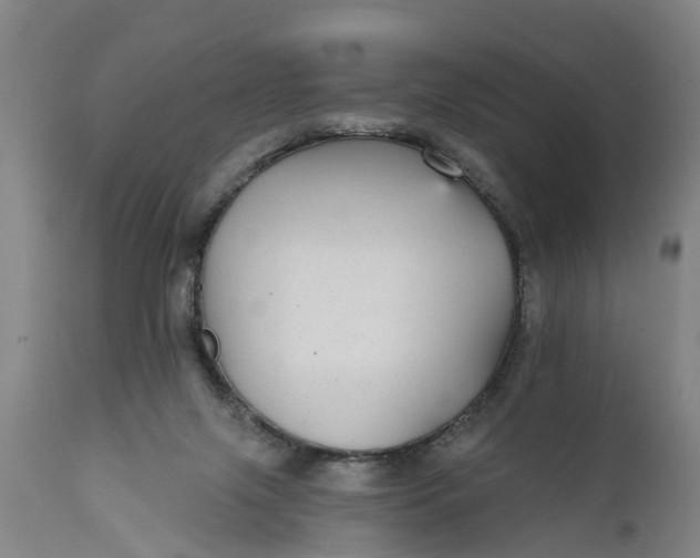 X0000111590071200908061400