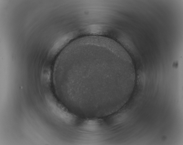 X0000111590072200908061400