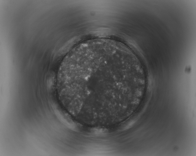 X0000111590073200908061400