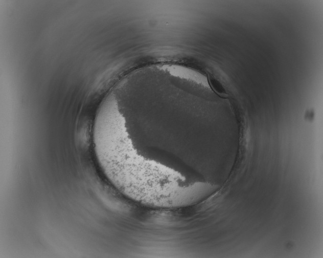 X0000111590074200908061400