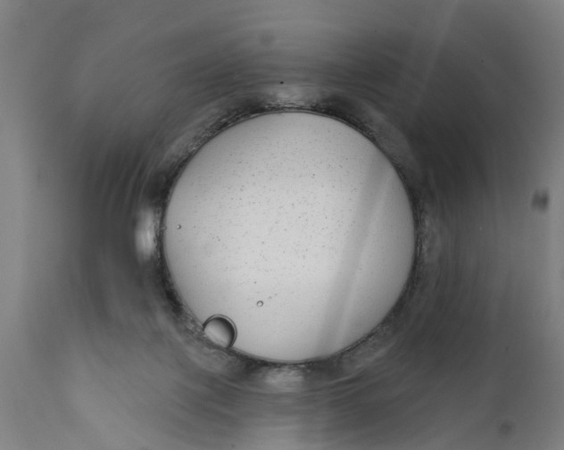 X0000111590075200908061400