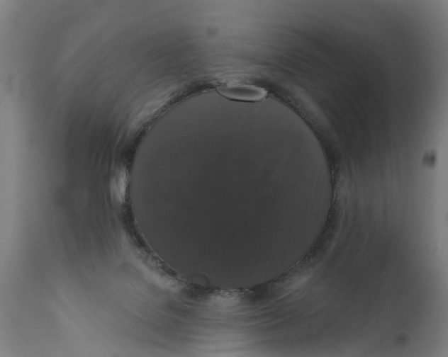 X0000111590076200908061400