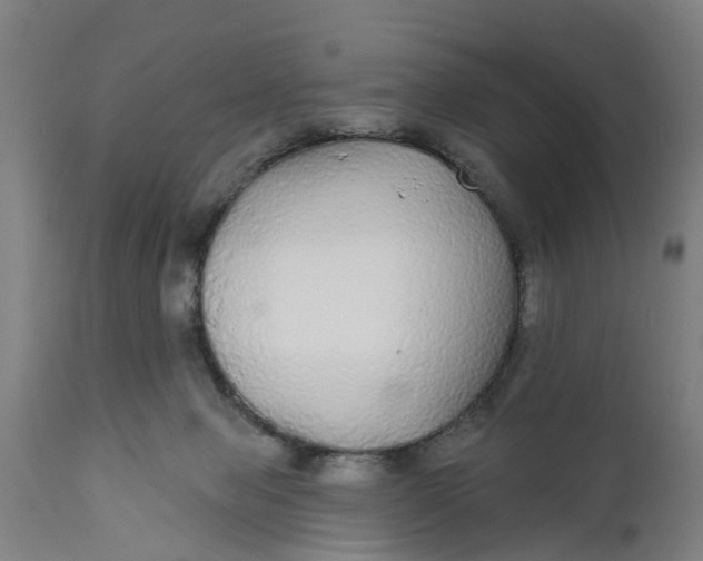 X0000111590077200908061400