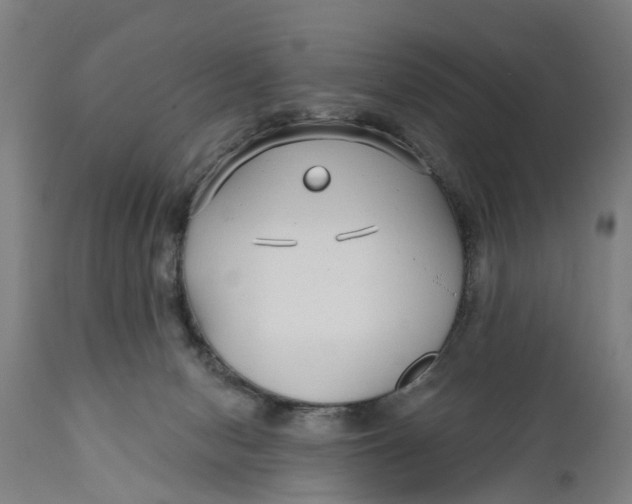 X0000111590078200908061400