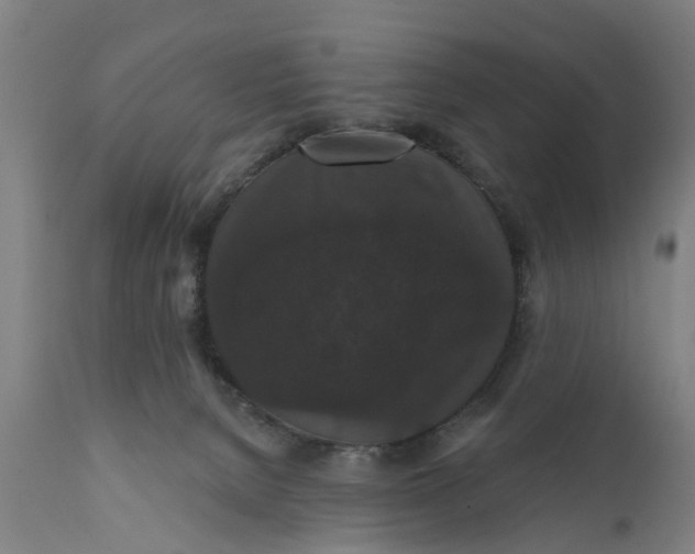 X0000111590080200908061400