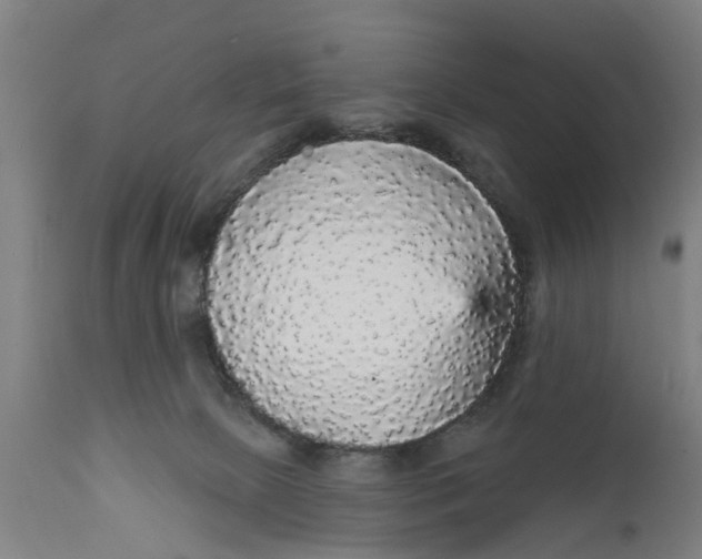 X0000111590081200908061400