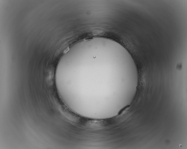 X0000111590082200908061400