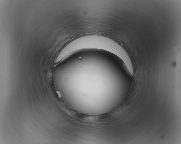 X0000111590084200908061400