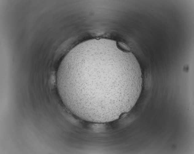 X0000111590085200908061400