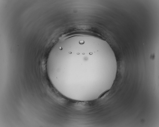 X0000111590086200908061400