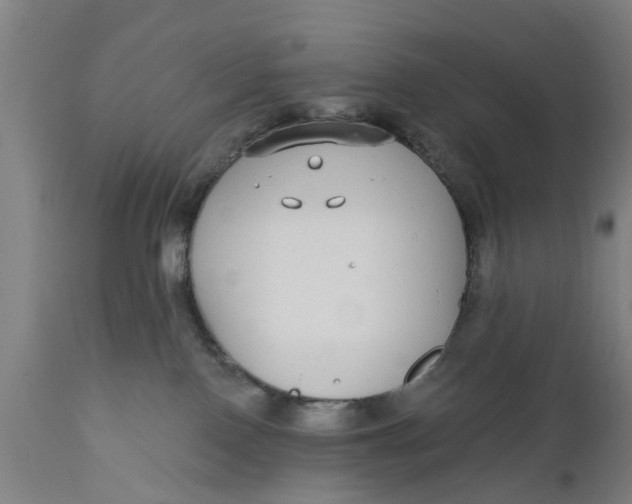 X0000111590090200908061400