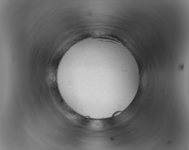 X0000111590091200908061400