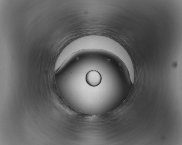 X0000111590092200908061400