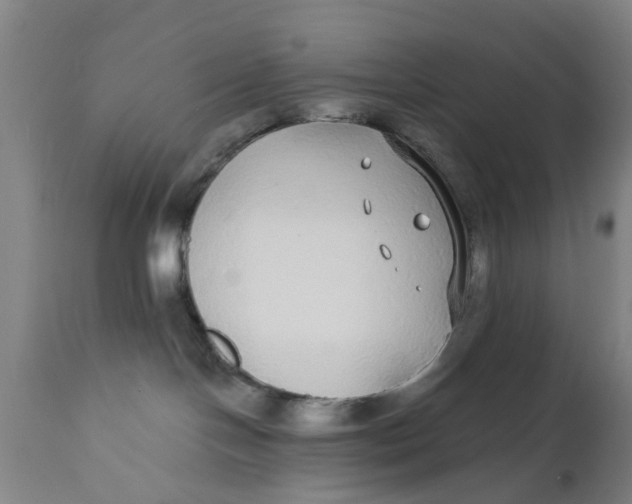 X0000111590094200908061400