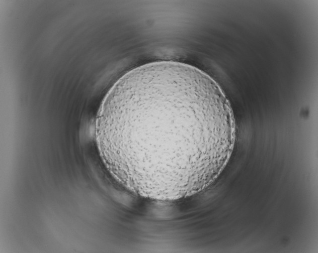 X0000111590095200908061400