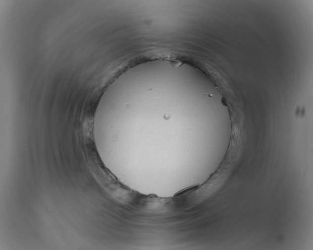 X0000111590096200908061401