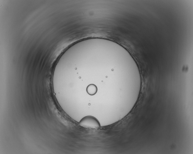 X0000111590098200908061400